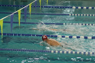 kaiyun体育综合-张雨霏自由泳赛段发力迅速，张雨霏自由泳实力