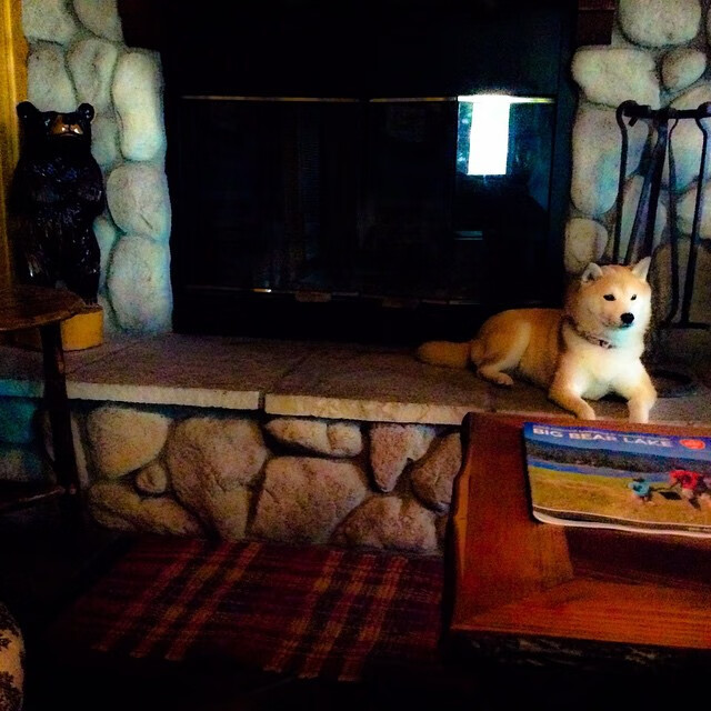 kaiyun体育综合-意甲赛场，新星爆发，精彩瞬间屡屡出现，意甲新赛季